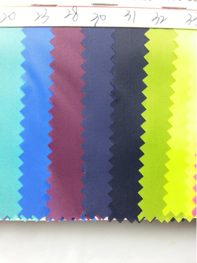 DG-BICG BC-1901 尼龍    背囊面料 細節-1